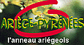 The ring ariégeois